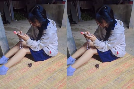 Hấp dẫn bị khám phá trong thế giới mê hoặc